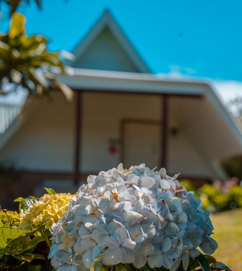 Hortensias Chalets Vara blanca Heredia Bagian luar foto